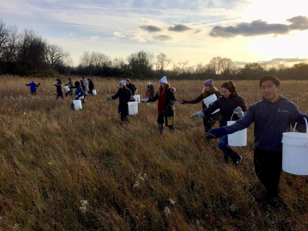 Spring Creek Allstate and Community Seed Collecting