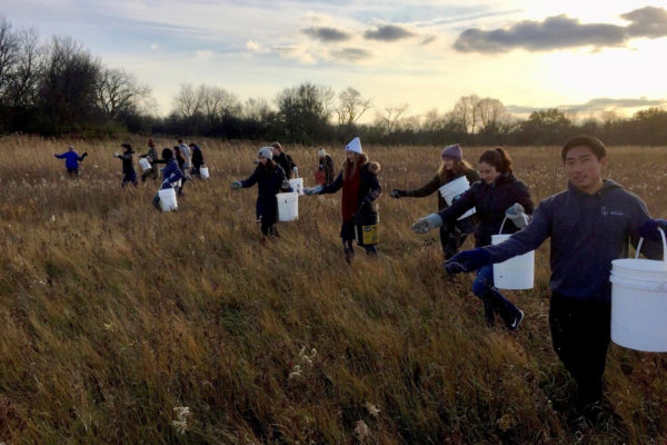 Spring Creek Allstate and Community Seed Collecting