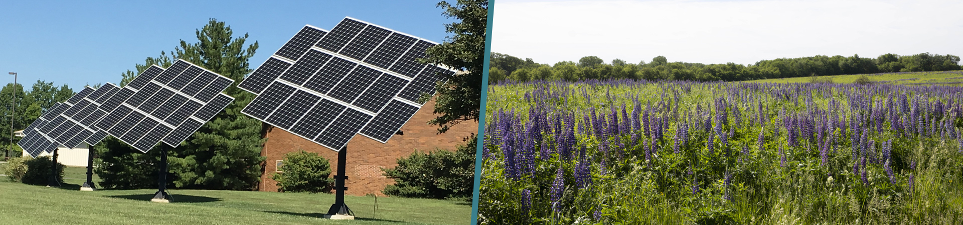 solar panels and prairie land